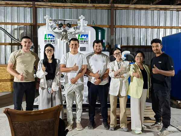 Sistema de geração de nitrogênio PSA para um fabricante de eletrônicos em Israel